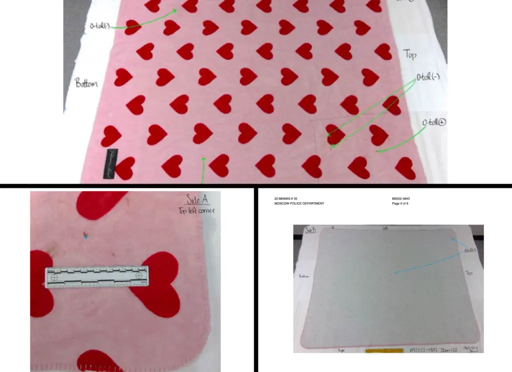 Dylan Mortenson’s pink blanket with red hearts as shown in police reports.